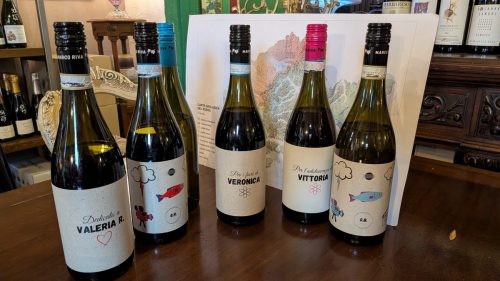 i vini di Marco